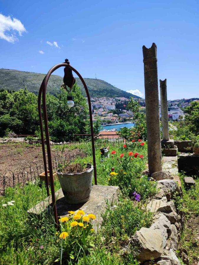 Peaceful House In Dubrovnik Apartman Kültér fotó